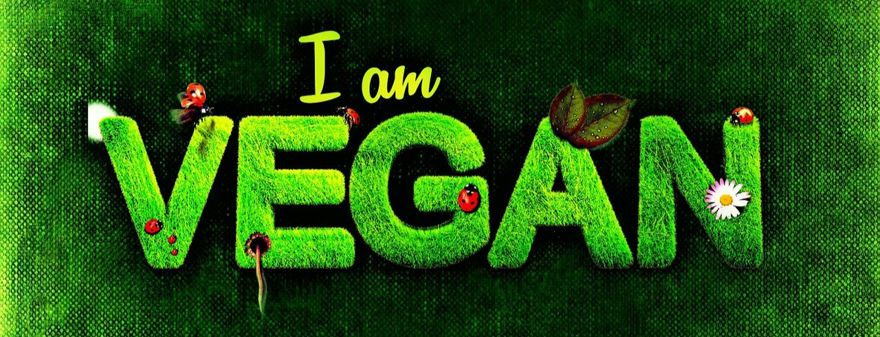 비건 이미지입니다.