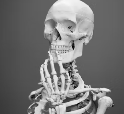 칼슘 하루 권장량 성인 1일 섭취방법