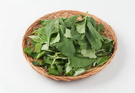 봄나물의-종류와-사진을-소개합니다.-봄나물의-종류로는 냉이-달래-쑥-미나리-취나물-등이-있습니다