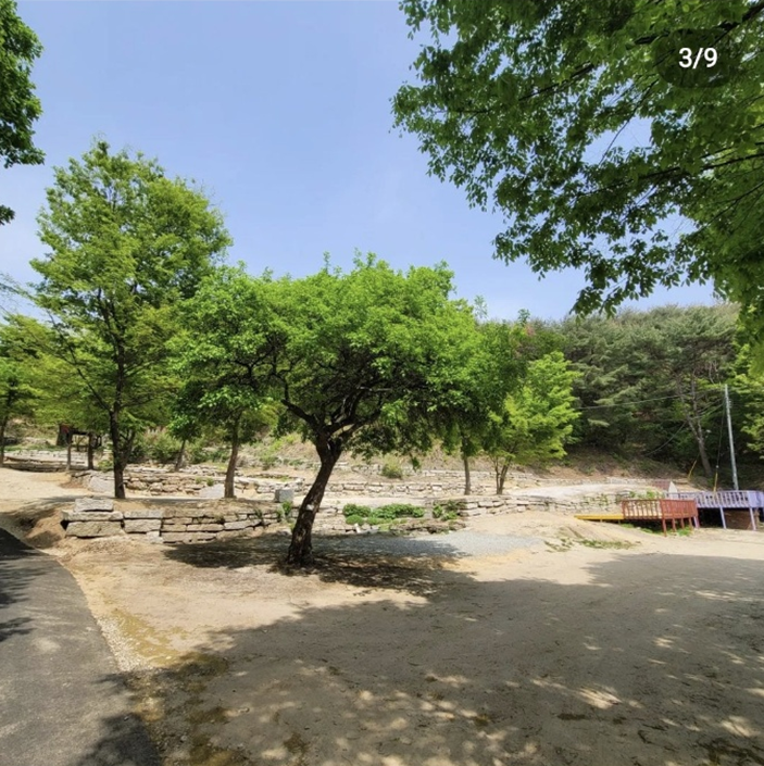 경기-포천-유식물원-캠핑장-사진-입니다.