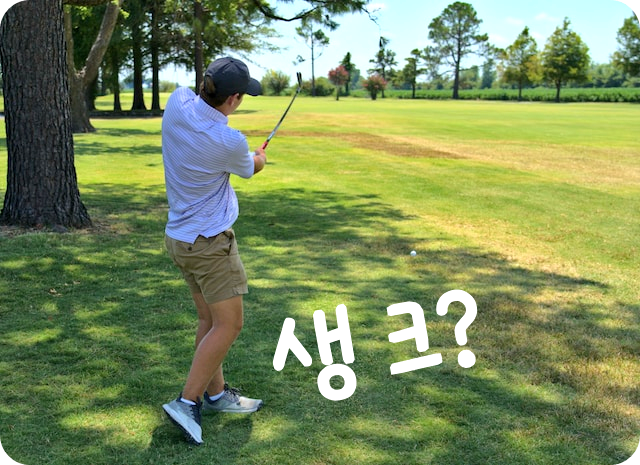 생크발생원인과해결방안