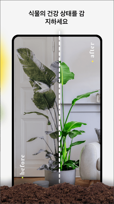 식물 이름 찾기 어플, 식물 찾아보기