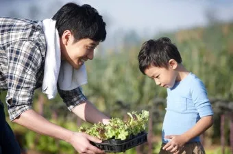 텃밭 가꾸기 모종 선택 파종 시기 물주기 비료 초보 가이드_32
