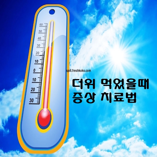 더위 먹었을때 증상 치료법