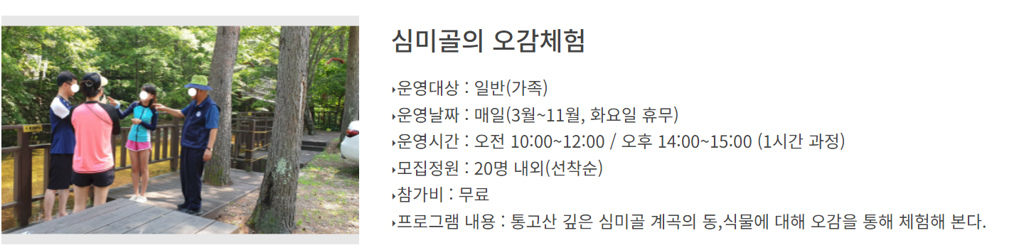 통고산 자연휴양림