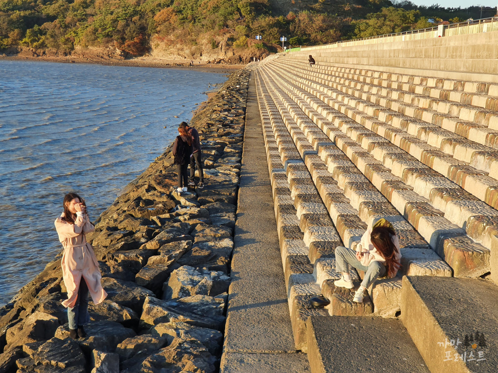 안산 탄도항 인증샷