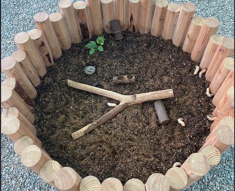 센트럴 곤충 생태농장