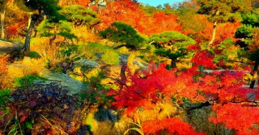 2024화담숲 가을단풍축제