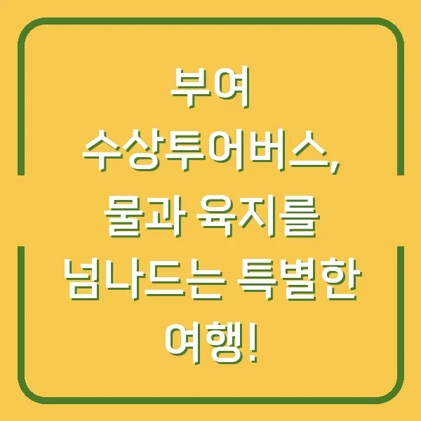 부여 수상투어버스, 물과 육지를 넘나드는 특별한 여행!