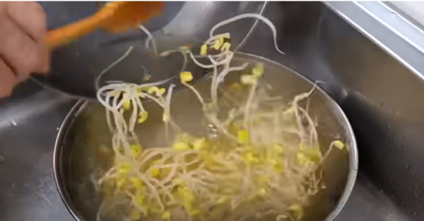 차가운물데치기