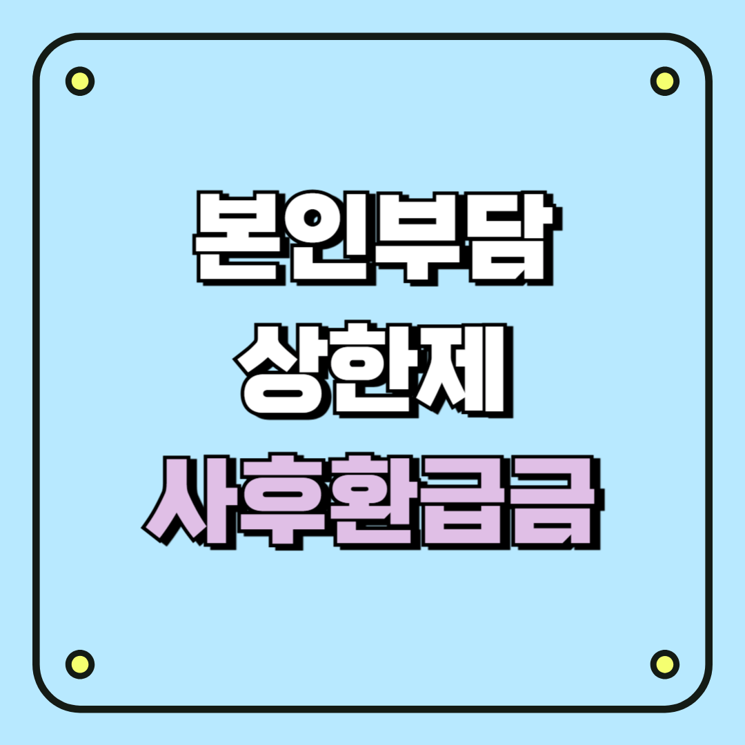 본인부담상한제 사후환급금