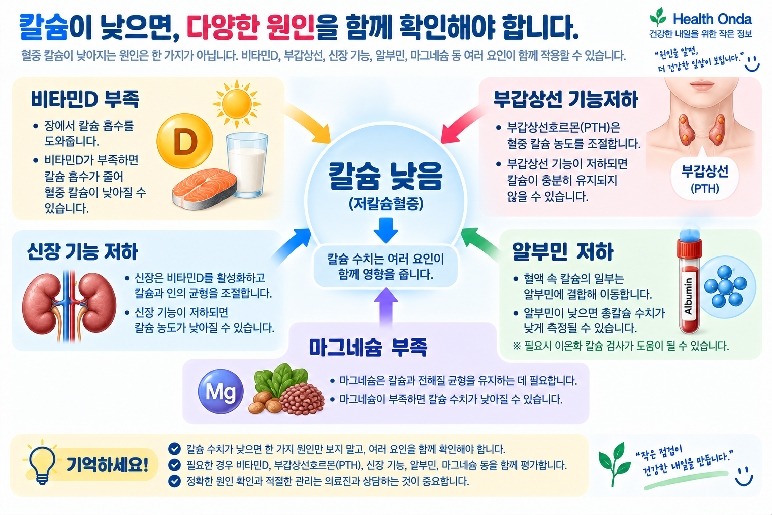 칼슘 검사와 알부민·부갑상선의 관계를 설명하는 삽화