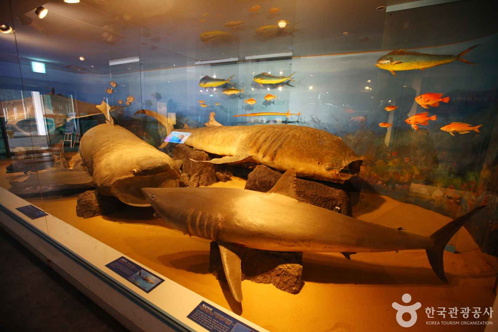 민속자연사박물관