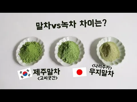 말차와 녹차의 차이점 효능 맛 비교 총정리_2