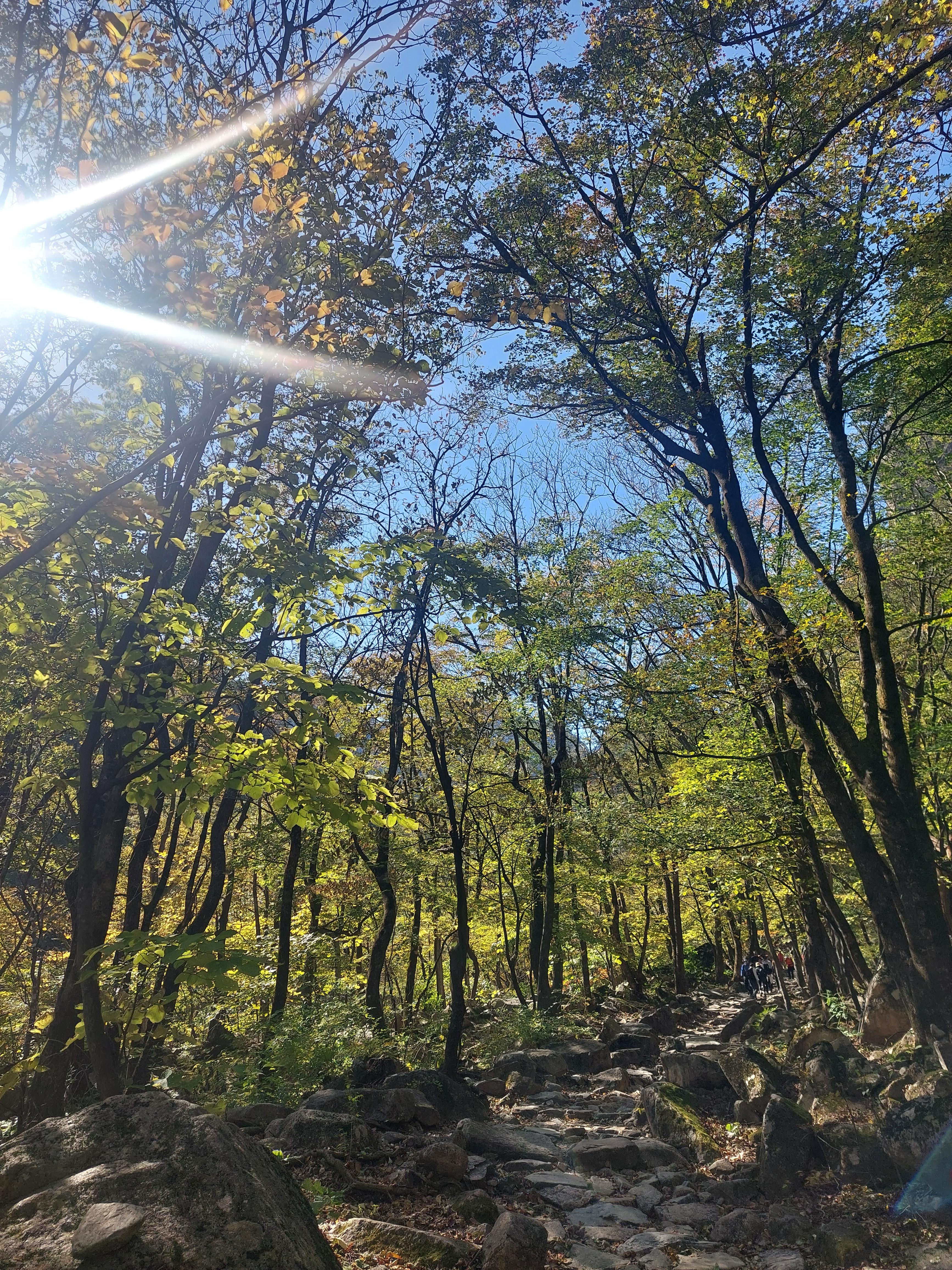 설악산