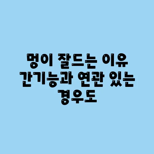 멍이 잘드는 이유 간기능과 연관 있는 경우도