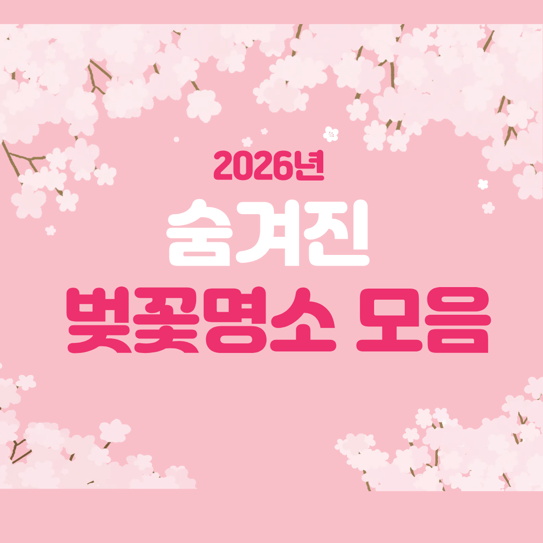 2026년 숨겨진 벚꽃 명소