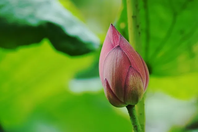 폭염 주의보 체감온도 열지수 온열질환 예방 체크리스트_4