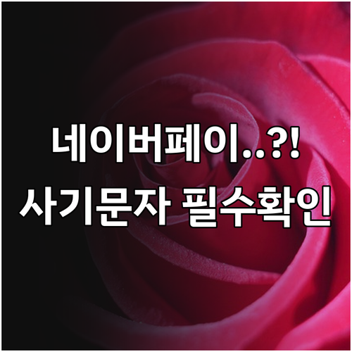 네이버페이 결제 사기 문자 유형별 특..