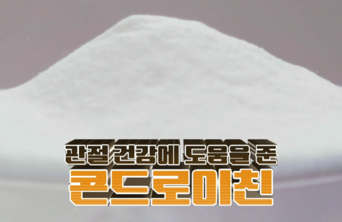콘드로이친