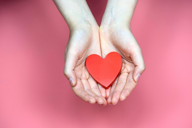 심박수, 심박수 변화, 정상 심박수, 심박수 높을 때, 심박수 낮을 때, 맥박 조절, 심장 건강, 부정맥, 자율신경계, 운동 심박수, 안정시 심박수, 심박수 체크