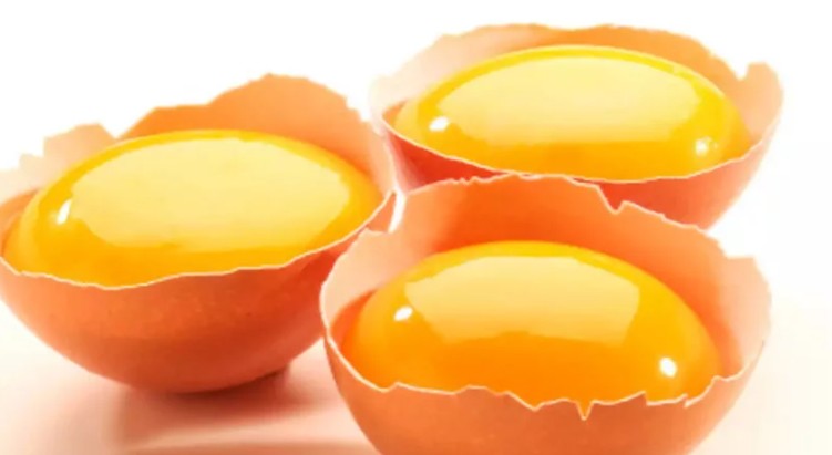 루테인 지아잔틴 많은 음식-노른자