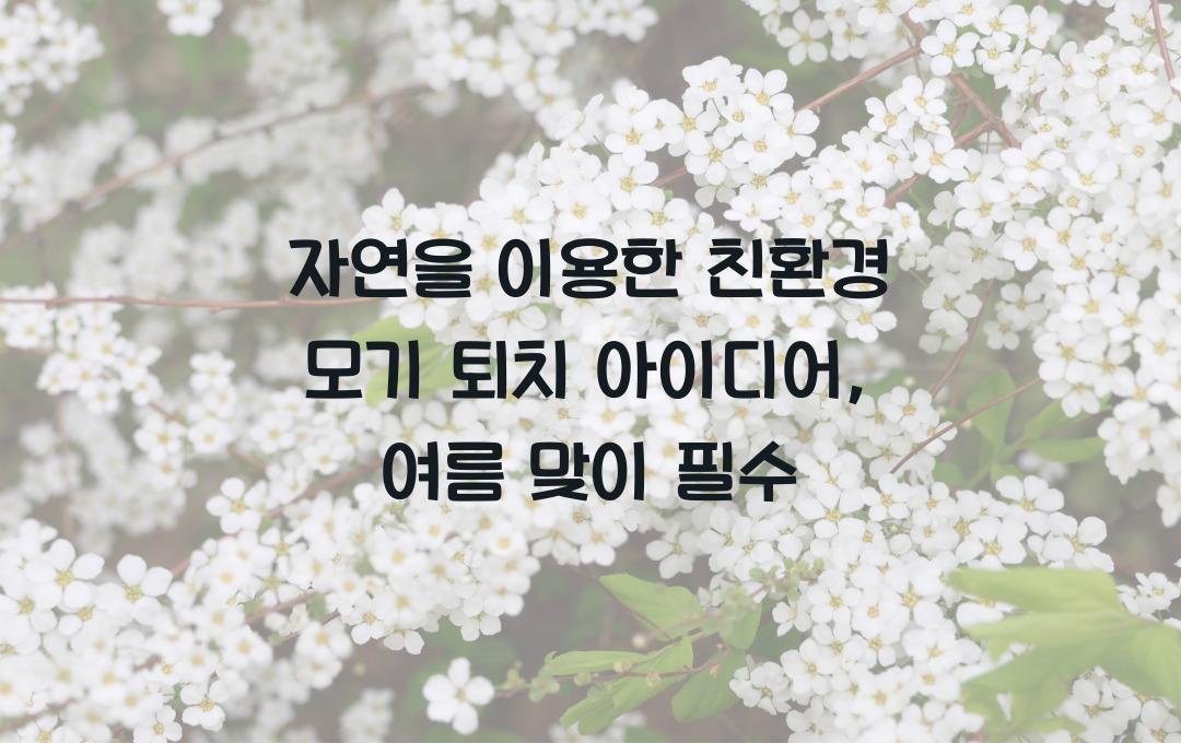 자연을 이용한 친환경 모기 퇴치 아이디어