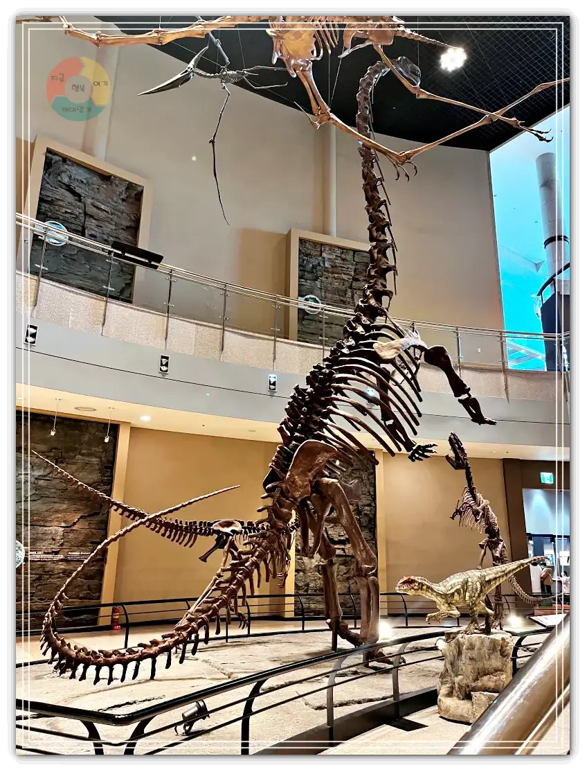 고성공룡박물관_공룡뼈전시-거대공룡