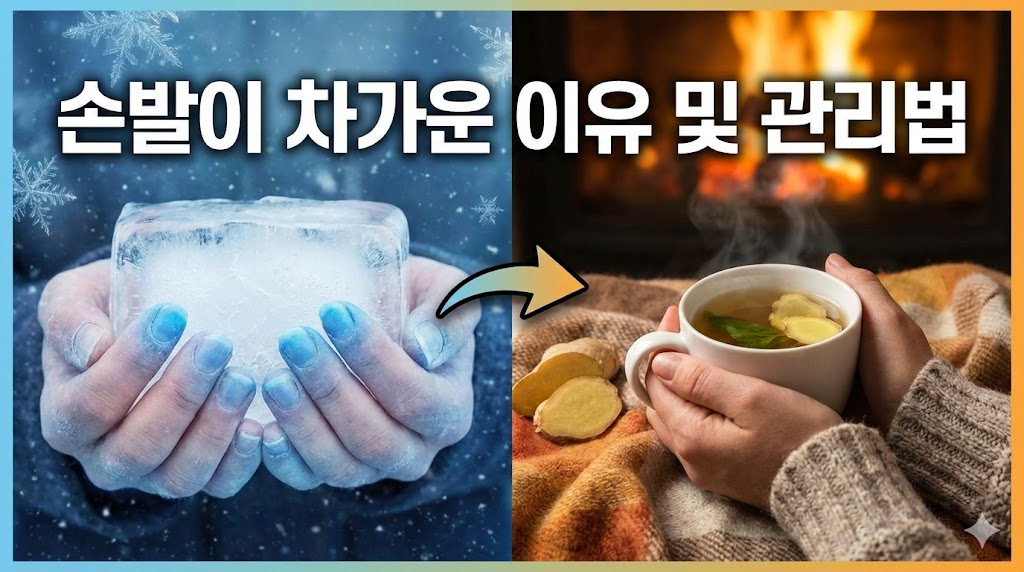손발차가운이유