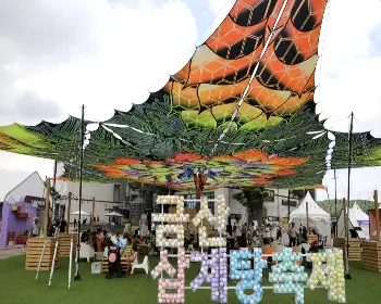 금산 삼계탕 축제12