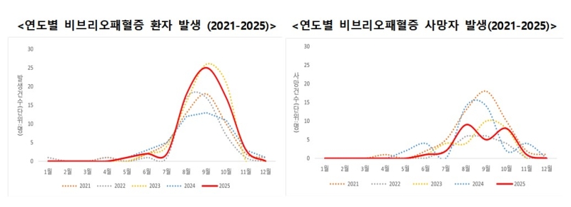 비브리오패혈증 사망자 올해 첫 발생: 치사율 50% 예방법과 고위험군 주의사항 총정리