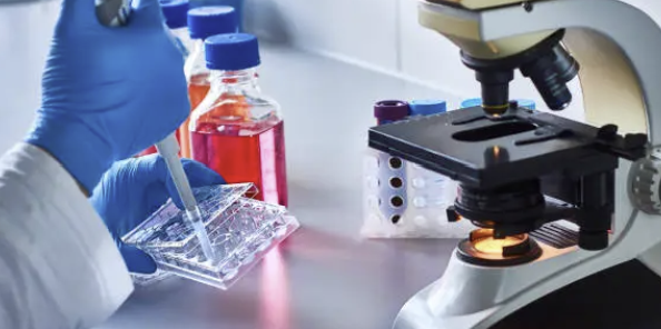 Oncometabolite Profiling – IDH 변이 종양에서의 2-Hydroxyglutarate 검출과 임상 적용 전략