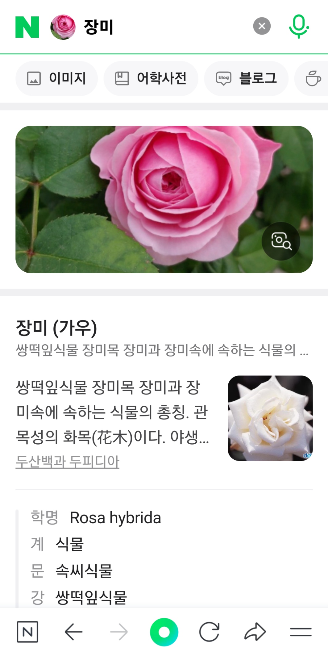 꽃 이름 찾기 결과