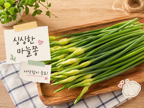마늘쫑볶음볶음 황금레시피
