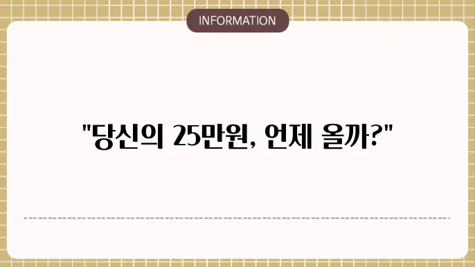 민생지원금 25만원 활용방법