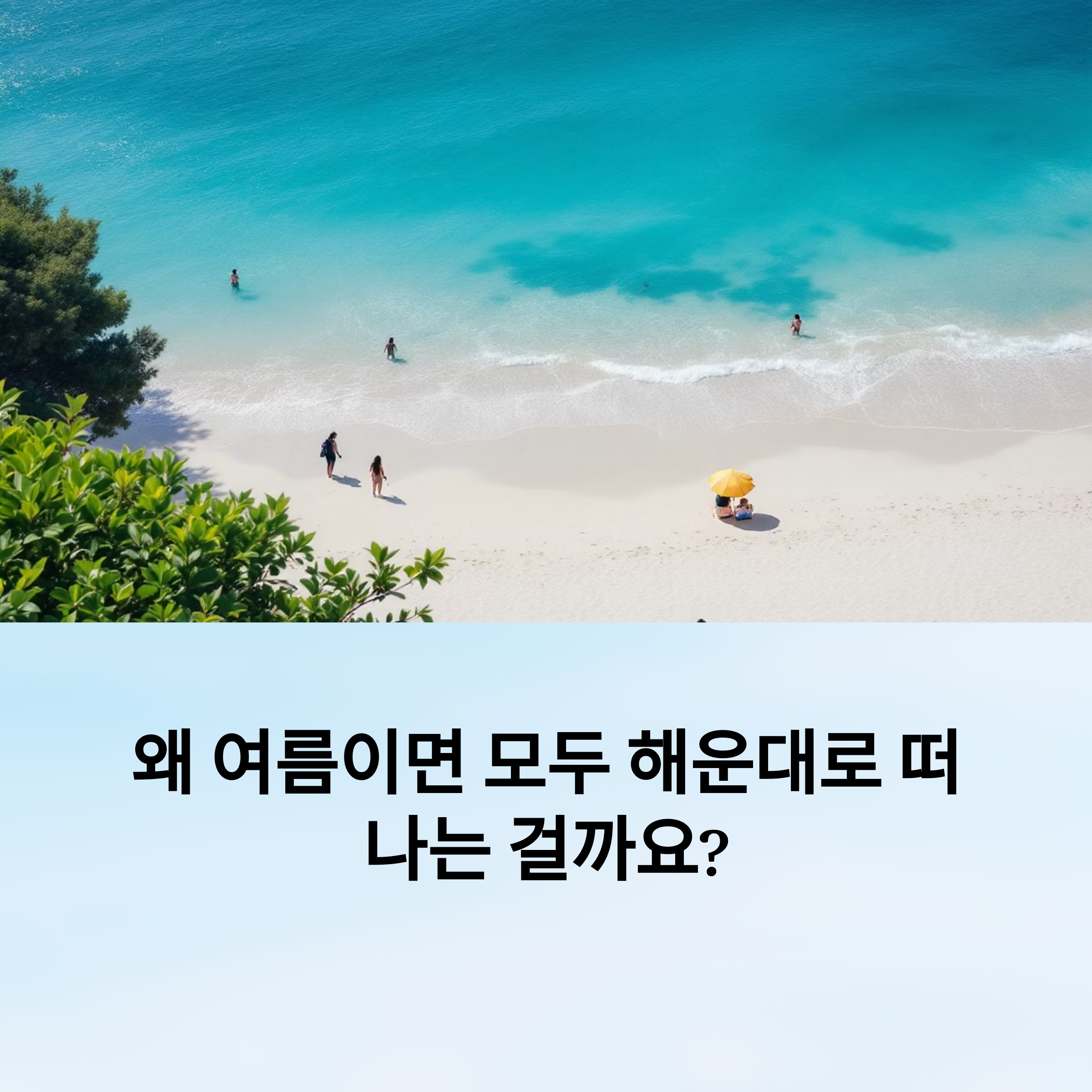 왜 여름이면 모두 해운대로 떠나는 걸까요?