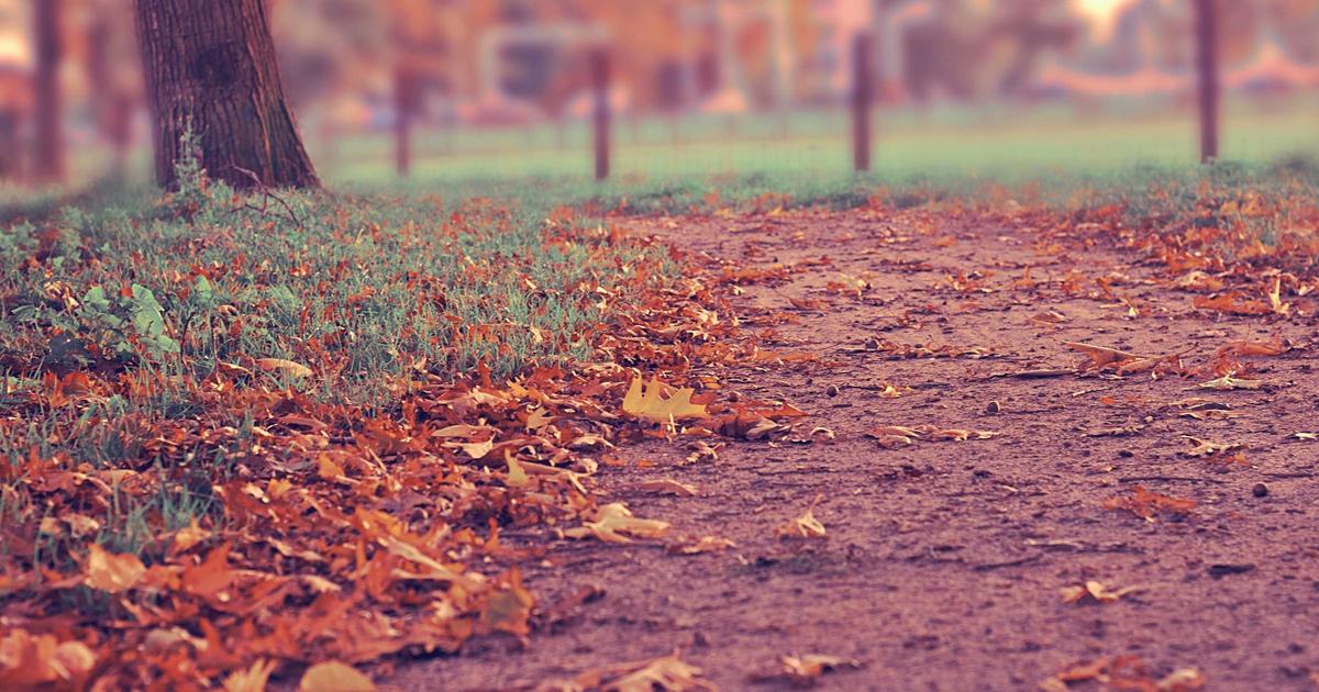 time management tips