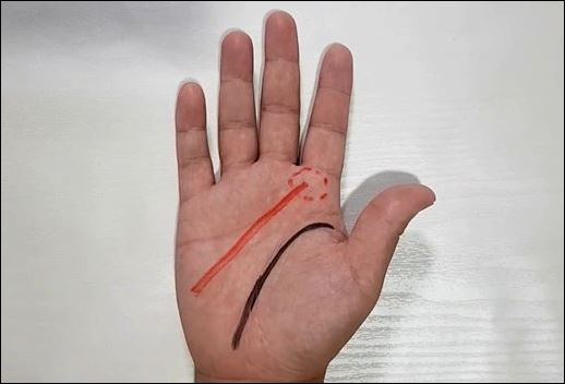 높은 자리에 오를 손금