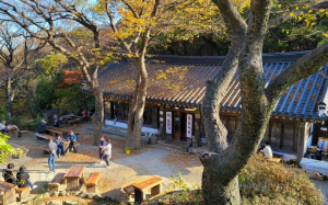 부처님오신날유명사찰