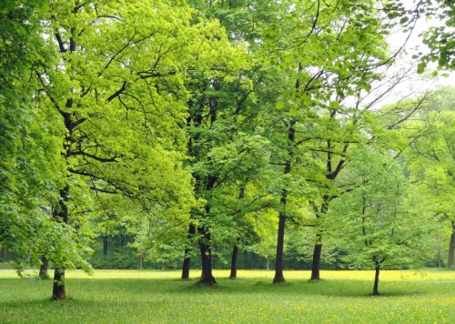 농업e지-바로가기