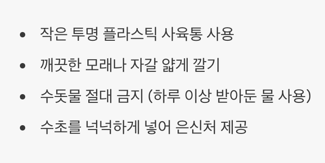 수초 가득한 아늑한 집 꾸미기