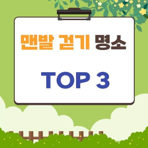 맨발 걷기 좋은곳