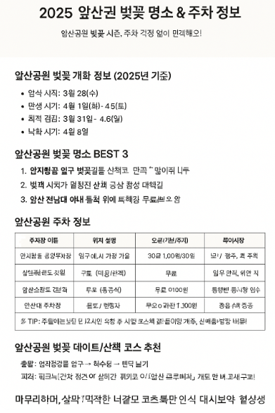 대구 앞산 벚꽃 명소 및 주차장 정보