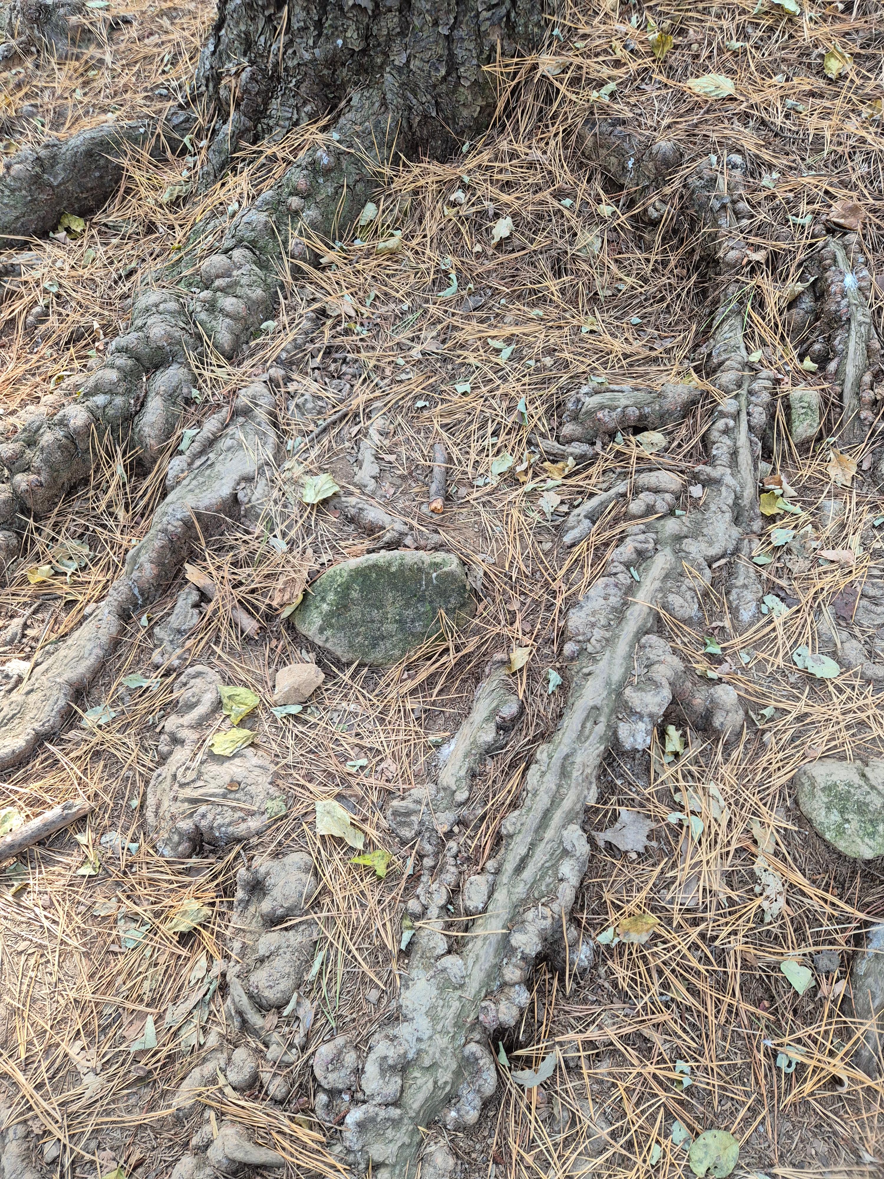 인천둘레길 1코스