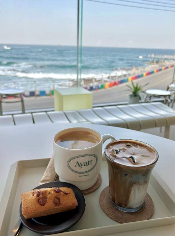 고성 맛집 베스트10