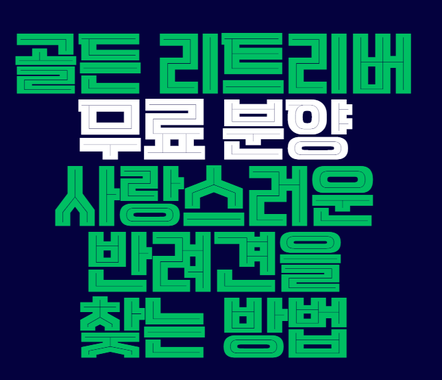 골든_리트리버