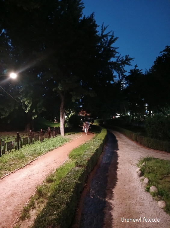 밤에 황토길을 걸으며 수면 개선 효능을 누리는 사람