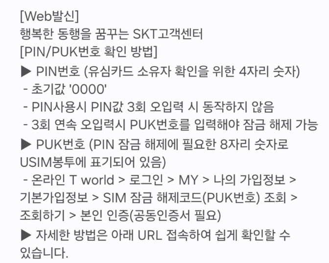 sk 유심보호서비스 로밍 PIN 번호 확인방법