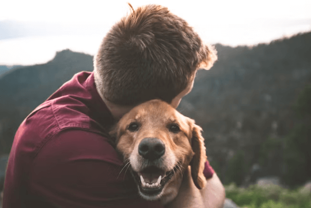 반려동물과 여행&amp;#44; 준비물부터 숙소까지 완벽 정리!