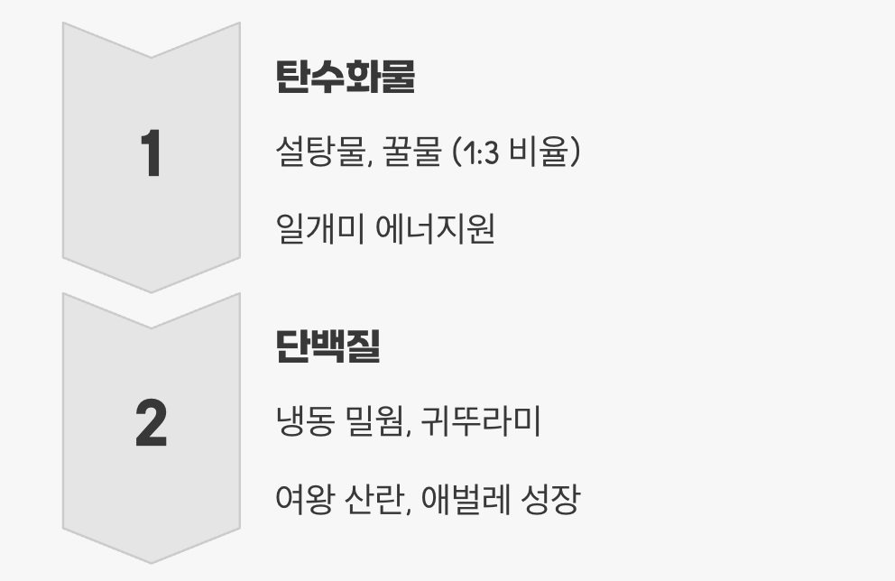 왕국의 만찬, 무엇을 먹여야 할까?